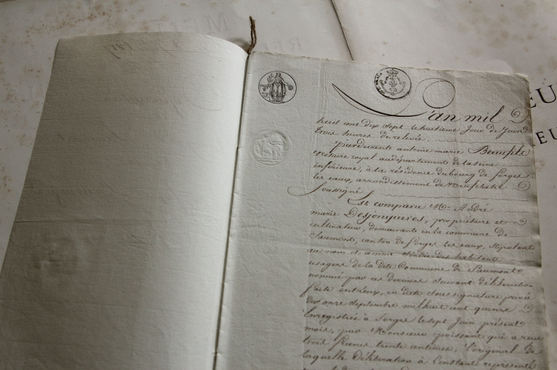 羊皮紙 1789年 フランス 公文書 カリグラフィー オンライン購入