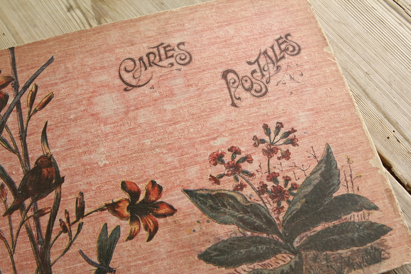 アンティークポストカードアルバム フランス 花鳥 【Antiques