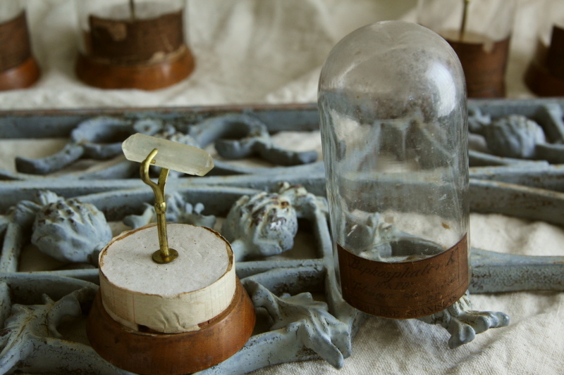 アンティーク鉱物標本 科学 実験具 フランス 【Antiques Truffle 京都