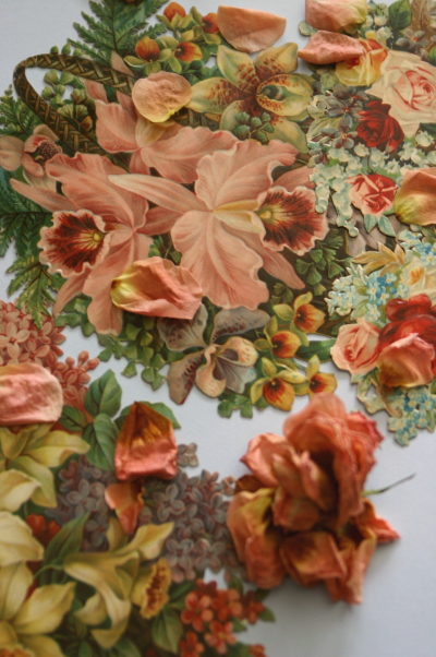 �A���e�B�[�N�f�R�p�[�W���@�C�M���X�@�N�����X�@�t�����[�o�X�P�b�g�@���B�N�g���A��