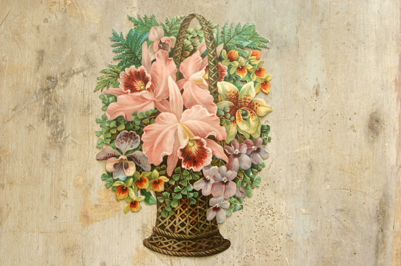 �A���e�B�[�N�f�R�p�[�W���@�C�M���X�@�N�����X�@�t�����[�o�X�P�b�g