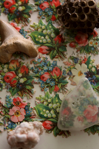 �A���e�B�[�N�N�����X�@�h�C�c�@�o���@�X�Y�����@�p���W�[