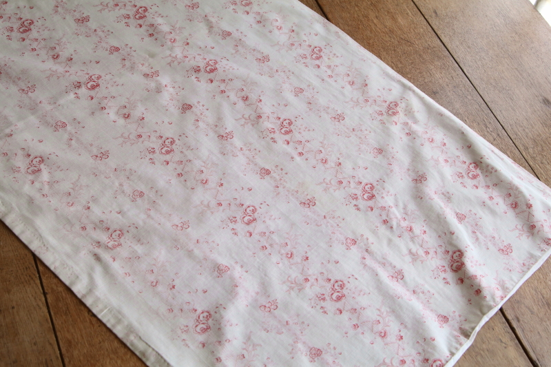 薔薇のフレンチプリントファブリックカーテン　フランス　アンティークストリュフ