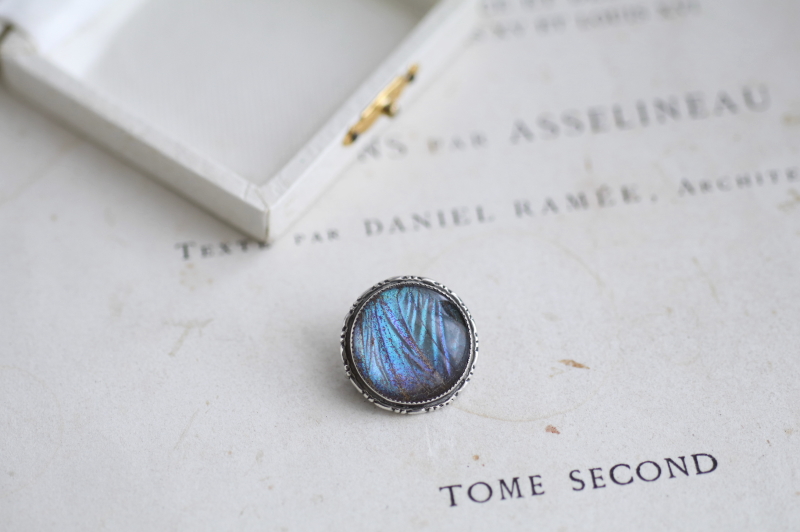 モルフォ蝶のシルバーブローチ　イギリス　アンティークストリュフ