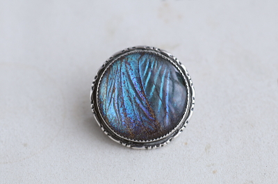 モルフォ蝶のシルバーブローチ　イギリス　アンティークストリュフ