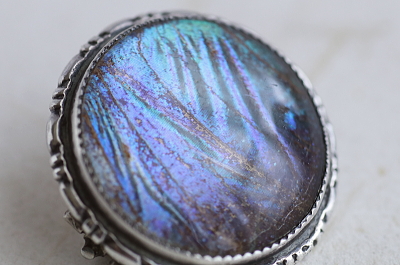 モルフォ蝶のシルバーブローチ　イギリス　アンティークストリュフ