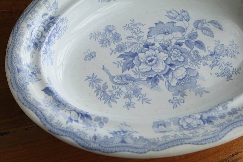 アジアティックフェザンツ　オーバルコンポート　イギリス　ヴィクトリアン　アンティークストリュフ