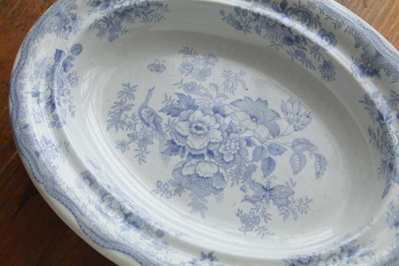 アジアティックフェザンツ　オーバルコンポート　イギリス　ヴィクトリアン　アンティークストリュフ