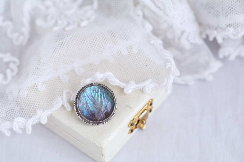 モルフォ蝶のシルバーブローチ　イギリス　アンティークストリュフ