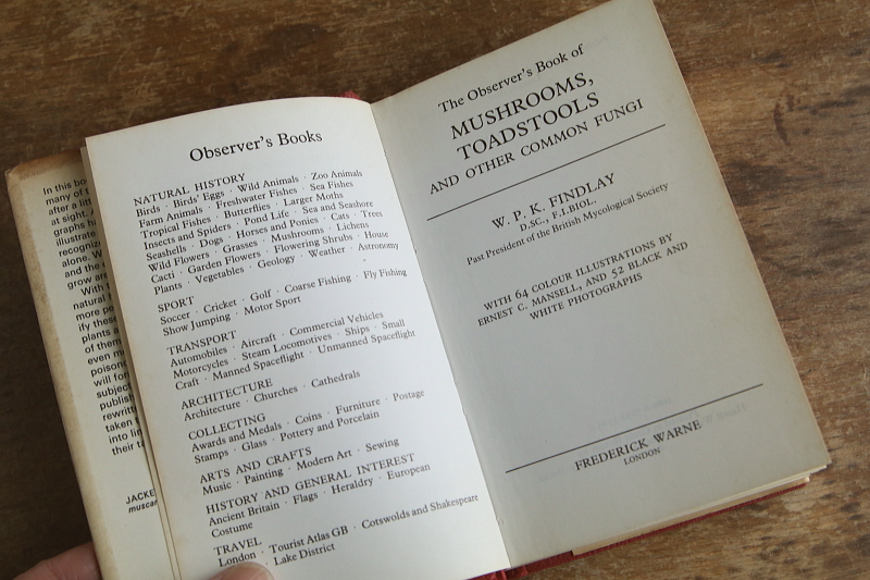 the observer's bookbirds' eggs mushroom toadstool 鳥の卵　キノコ　イギリス アンティークストリュフ