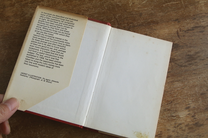 the observer's bookbirds' eggs mushroom toadstool 鳥の卵　キノコ　イギリス アンティークストリュフ