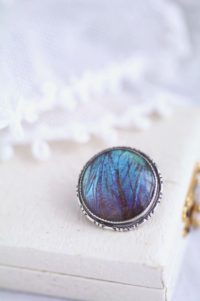 モルフォ蝶のシルバーブローチ　イギリス　アンティークストリュフ 20250711