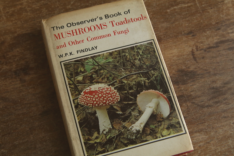 the observer's bookbirds' eggs mushroom toadstool 鳥の卵　キノコ　イギリス アンティークストリュフ