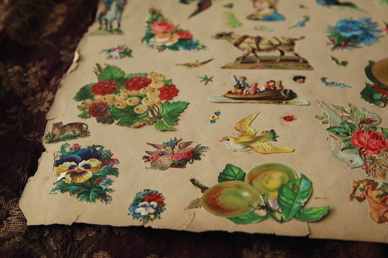 ヴィクトリアンデコパージュシート　イギリス　アンティークストリュフ