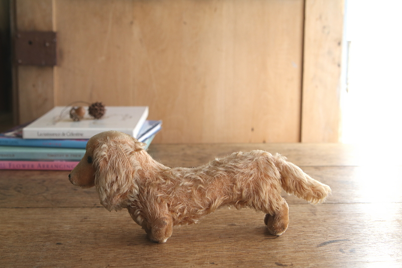 Steiffのダックスフンド　waldi ドイツ　アンティークストリュフ