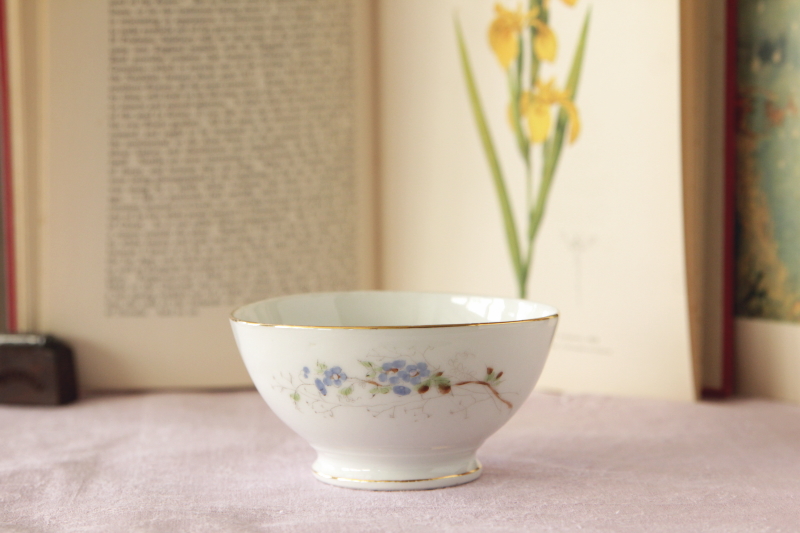 �A���e�B�[�N�f�L�����^�@�����K���X�@�C�M���X�@���B�N�g���A���@�Ԗ͗l