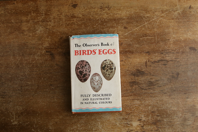 the observer's bookbirds' eggs mushroom toadstool 鳥の卵　キノコ　イギリス アンティークストリュフ