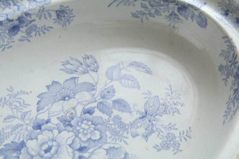 アジアティックフェザンツ　オーバルコンポート　イギリス　ヴィクトリアン　アンティークストリュフ