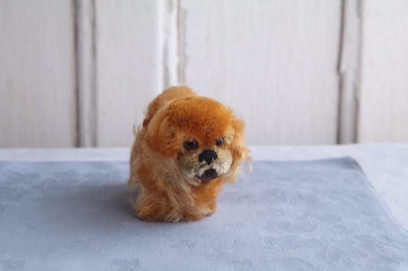 Peky　Bazi　steiff シュタイフ　ドイツ　アンティークストリュフ