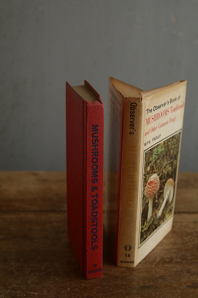 the observer's bookbirds' eggs mushroom toadstool 鳥の卵　キノコ　イギリス アンティークストリュフ