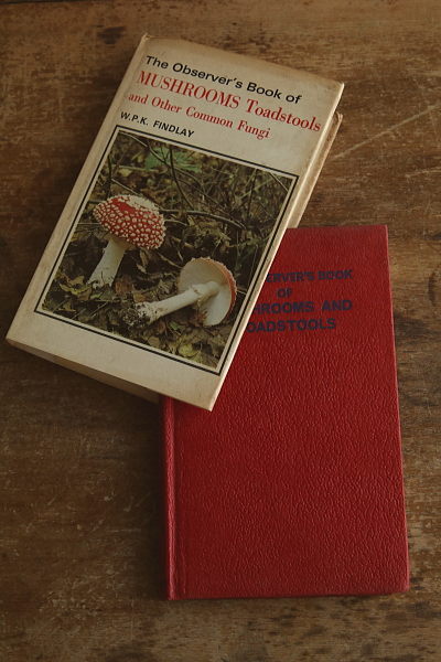 the observer's bookbirds' eggs mushroom toadstool 鳥の卵　キノコ　イギリス アンティークストリュフ