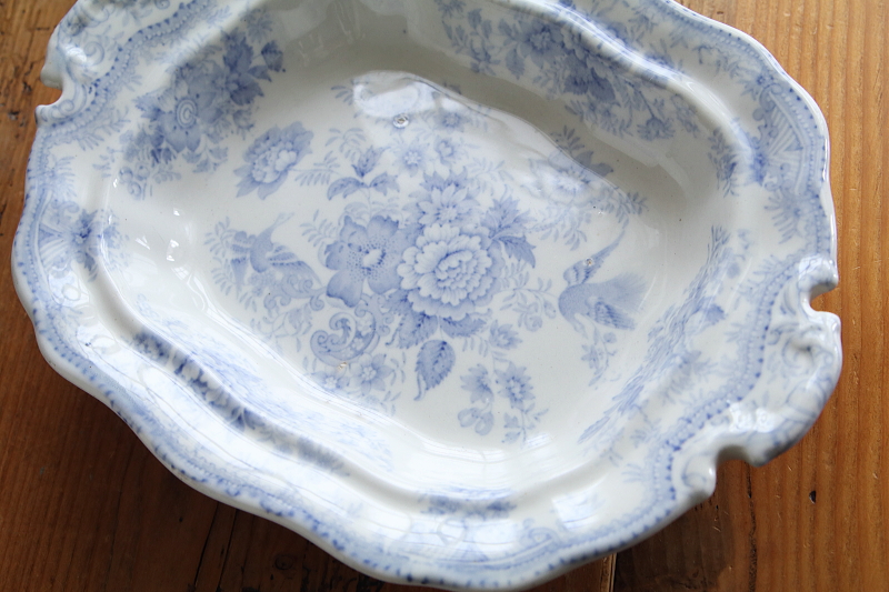 アジアティックフェザンツ　ベジタブルディッシュ　ヴィクトリアン　イギリス　アンティークストリュフ 20250702