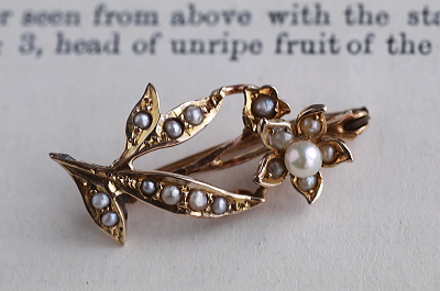 パール飾りゴールドブローチ　ダフォディル　イギリス　アンティークストリュフ