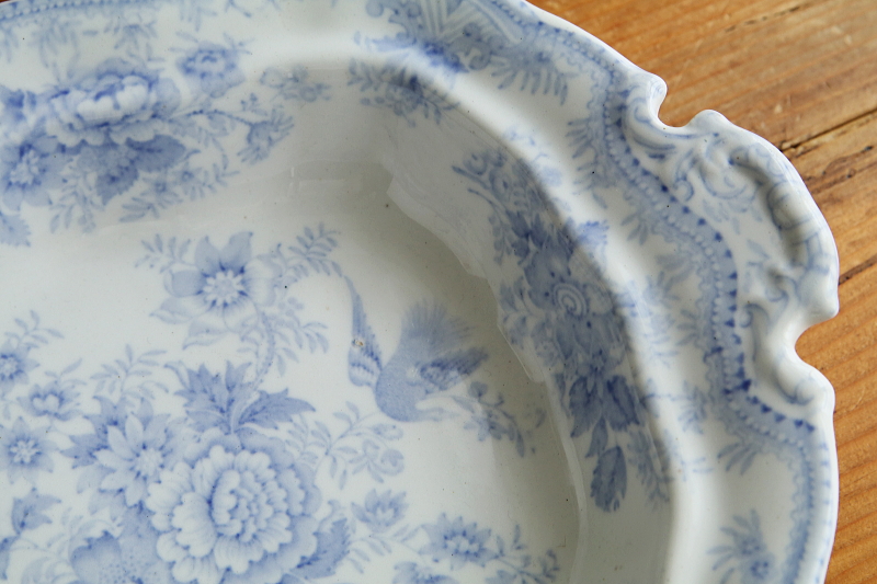 アジアティックフェザンツ　ベジタブルディッシュ　ヴィクトリアン　イギリス　アンティークストリュフ 20250702