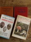 the observer's bookbirds' eggs mushroom toadstool ���̗��@�L�m�R�@�C�M���X �A���e�B�[�N�X�g�����t 20251125