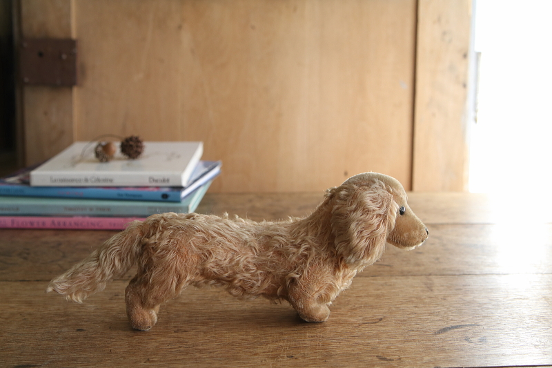 Steiffのダックスフンド　waldi ドイツ　アンティークストリュフ