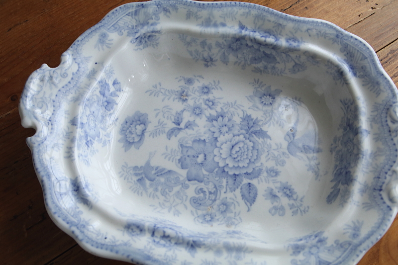 アジアティックフェザンツ　ベジタブルディッシュ　ヴィクトリアン　イギリス　アンティークストリュフ 20250702