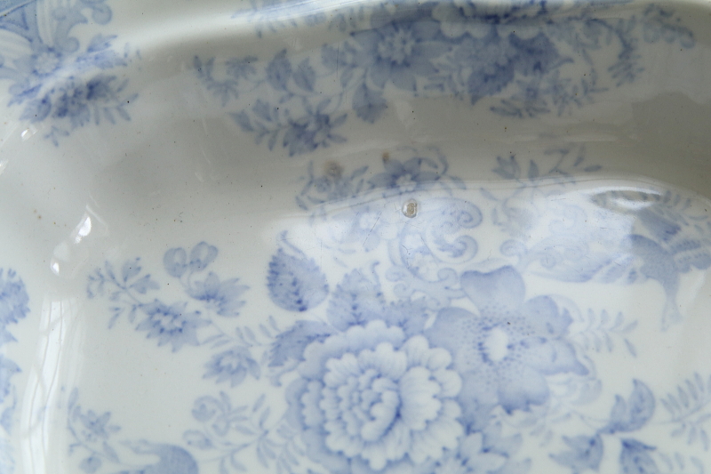 アジアティックフェザンツ　ベジタブルディッシュ　ヴィクトリアン　イギリス　アンティークストリュフ 20250702