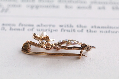 パール飾りゴールドブローチ　ダフォディル　イギリス　アンティークストリュフ