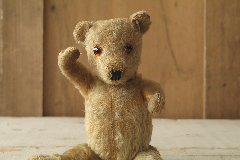 オールドテディベア　イギリス　アンティークストリュフ