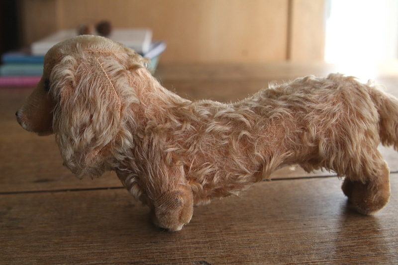 Steiffのダックスフンド　waldi ドイツ　アンティークストリュフ