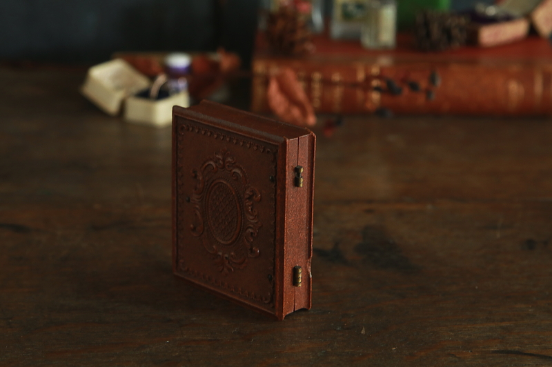 少女のガラス写真　ユニオンケース　アンブロタイプ　イギリス　アンティークストリュフ