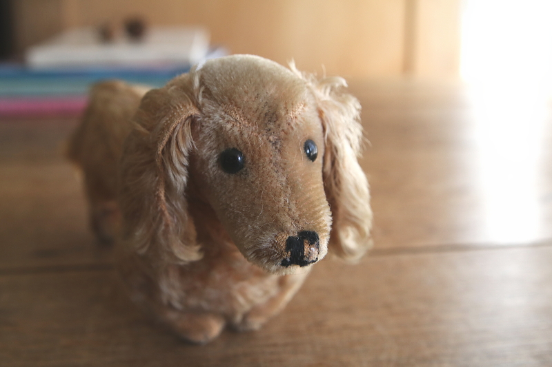 Steiffのダックスフンド　waldi ドイツ　アンティークストリュフ