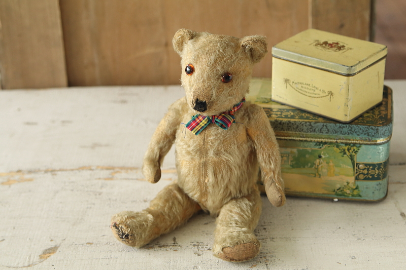 オールドテディベア　イギリス　アンティークストリュフ