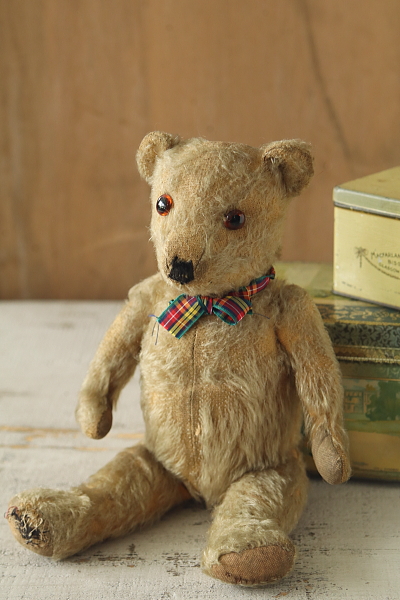 オールドテディベア　イギリス　アンティークストリュフ 20250701