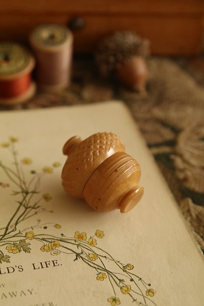 ベジタブルアイボリーのシンブルケース　ヴィクトリアン　イギリス　アンティークストリュフ 20260120