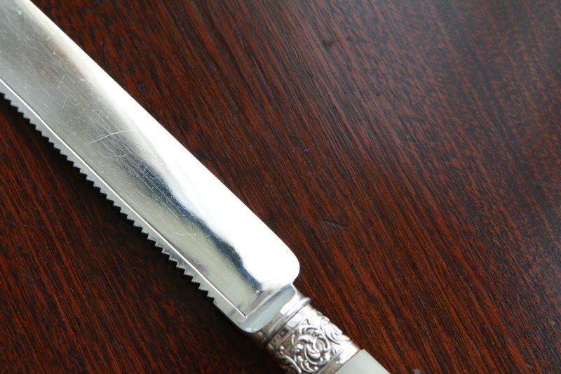 ハンドエングレーヴィング　シルバーケーキナイフ　アンティークストリュフ