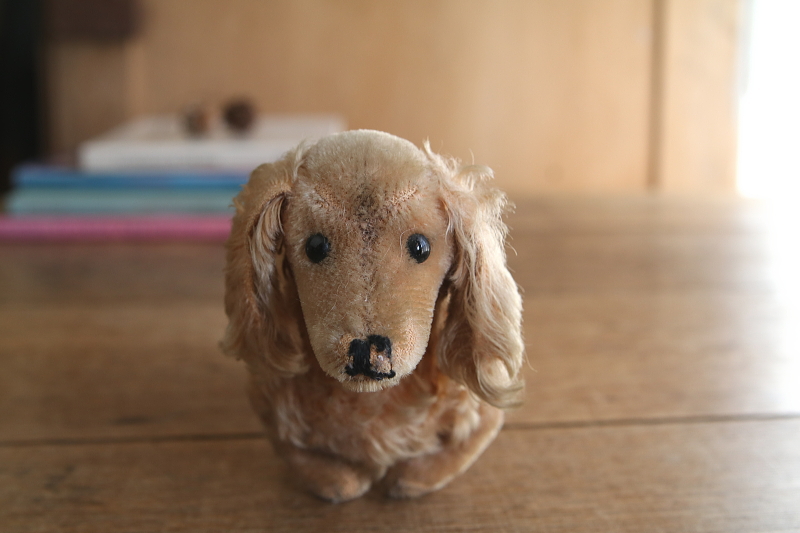 Steiffのダックスフンド　waldi ドイツ　アンティークストリュフ