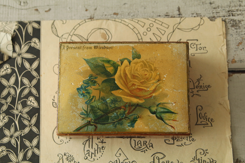 黄色いバラのモシュリンヌボックス　ウィンザー　イギリス