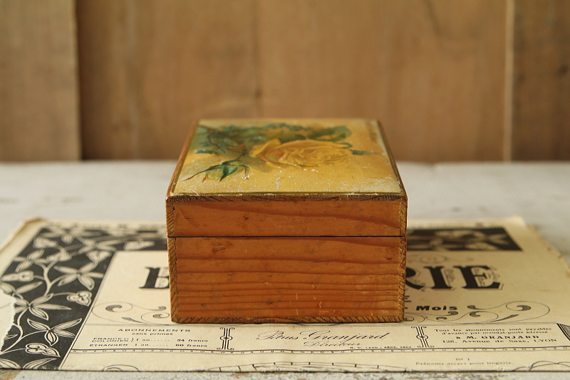 黄色いバラのモシュリンヌボックス　ウィンザー　イギリス