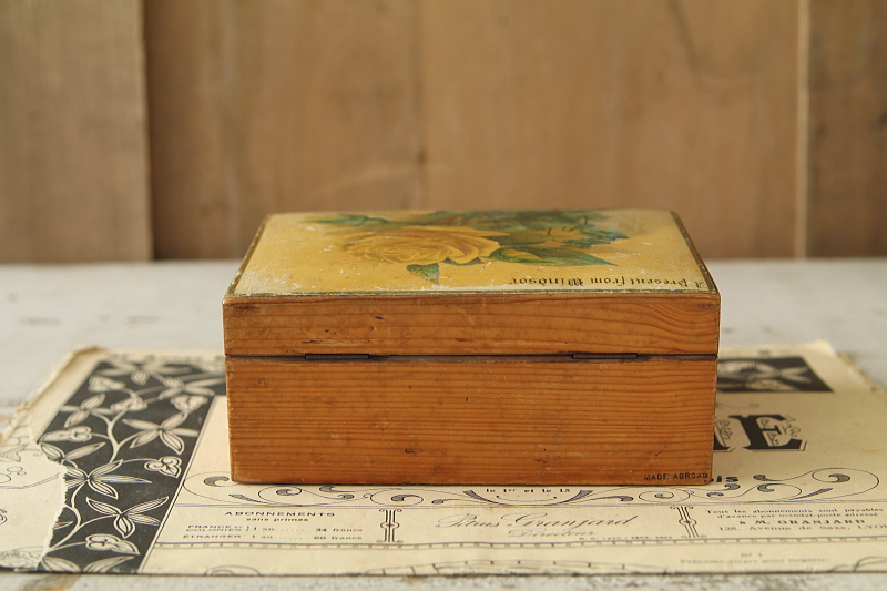 黄色いバラのモシュリンヌボックス　ウィンザー　イギリス