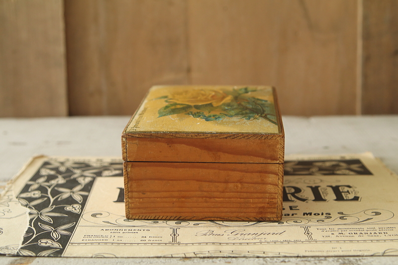 黄色いバラのモシュリンヌボックス　ウィンザー　イギリス