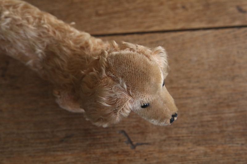 Steiffのダックスフンド　waldi ドイツ　アンティークストリュフ