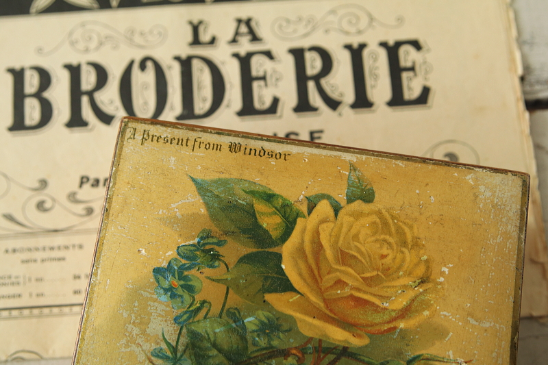 黄色いバラのモシュリンヌボックス　ウィンザー　イギリス