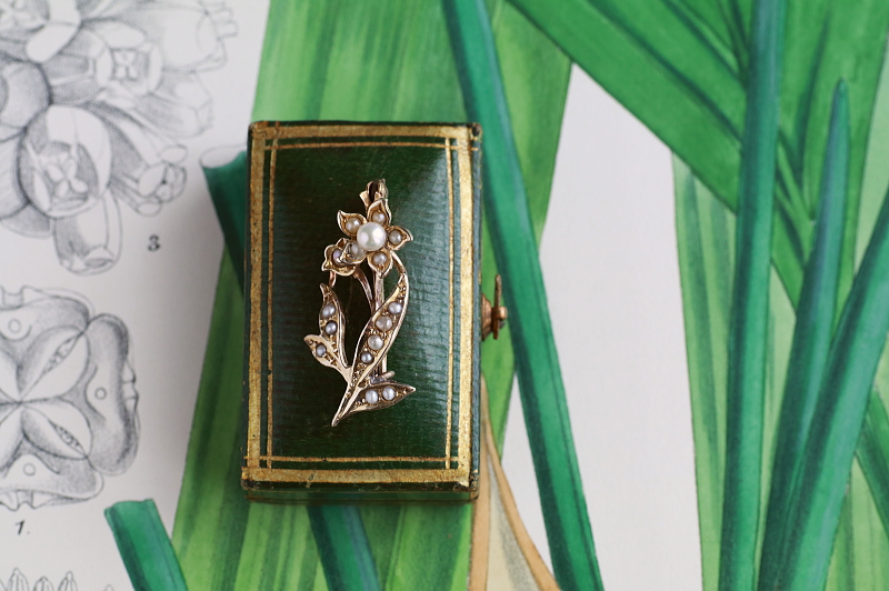 パール飾りゴールドブローチ　ダフォディル　イギリス　アンティークストリュフ