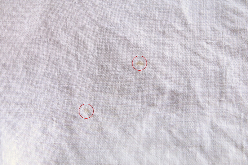 花文字刺繍とクロッシェのリネンシーツ　フランス　アンティークストリュフ